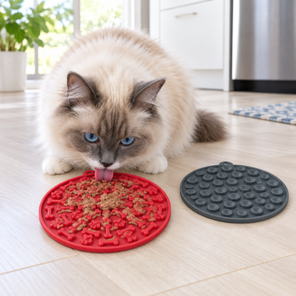 Ragdoll cat licking wet food from a lick mat