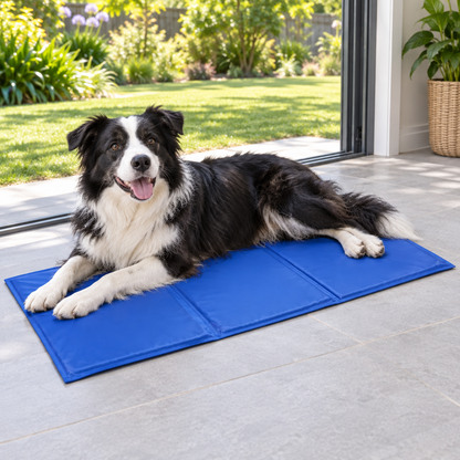 Border Collie relaxing on the Large 90 x 50 cm gel cooling mat