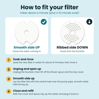 How to fit the fountain filter: smooth side up, ribbed side down, centre hole over the pump pipe