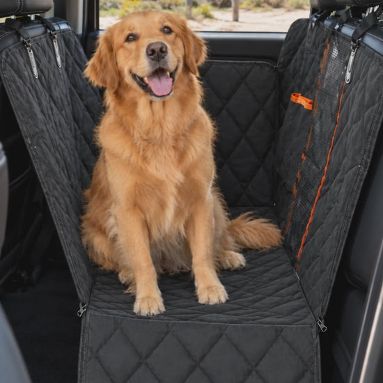 Golden Retriever lying down on the hammock car seat cover