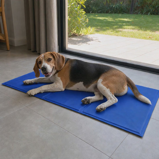 Beagle relaxing on the Large 90 x 50 cm self-cooling gel mat