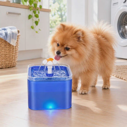 Pomeranian drinking from the blue pet water fountain 2L