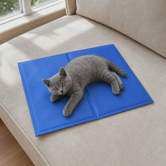 Kitten waking up for a long stretch on the XS 40 x 30 cm cat cooling mat