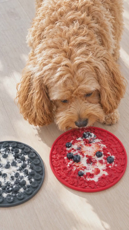 Cavoodle licking frozen yoghurt off a red suction lick mat