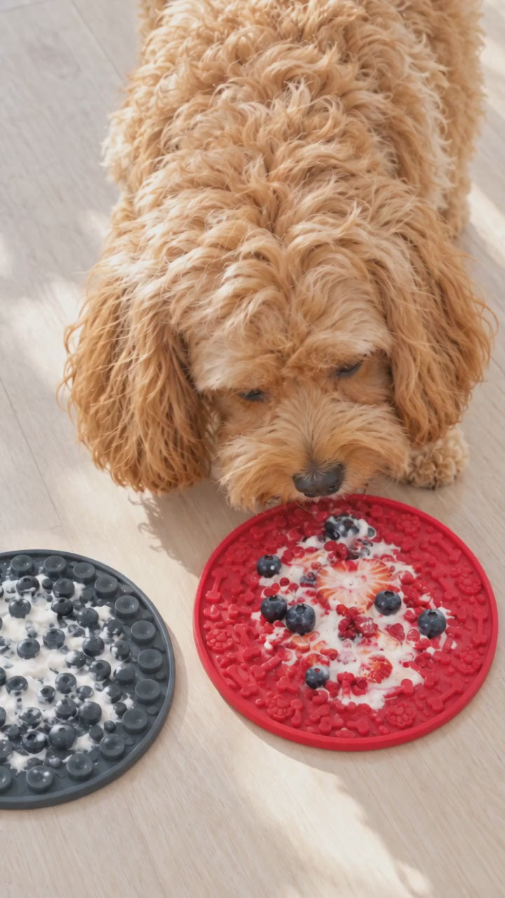 Cavoodle licking frozen yoghurt off a red suction lick mat