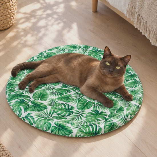Burmese cat stretching out on the round cooling bed