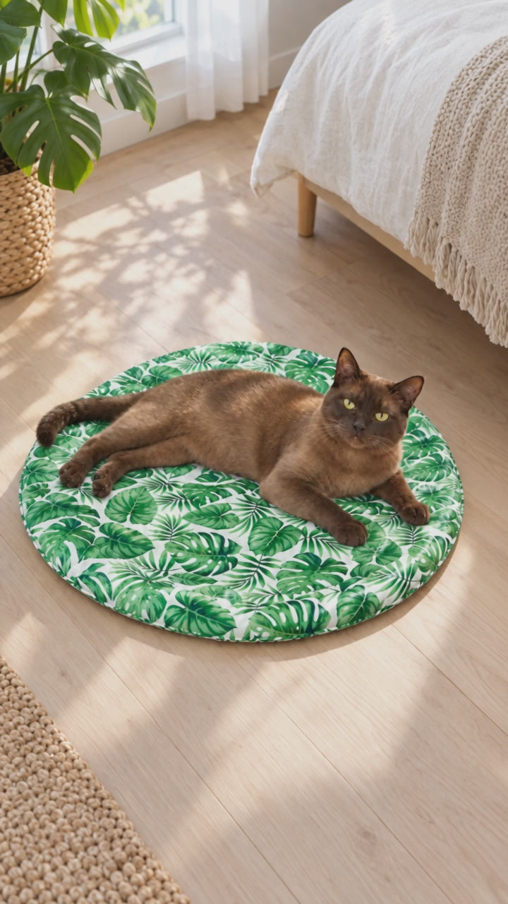 Burmese cat stretching out on the round cooling bed