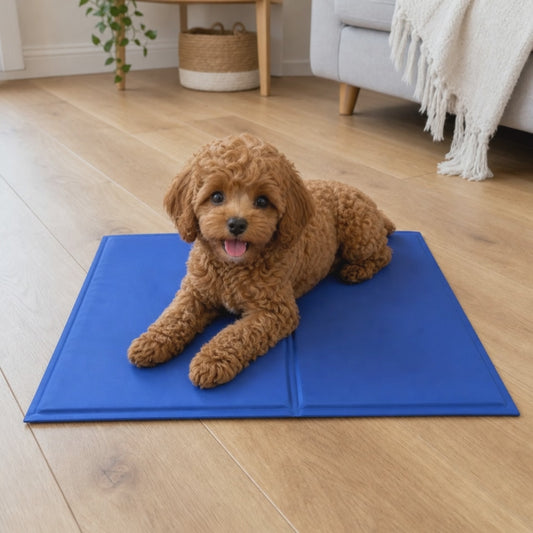 Happy Cavoodle puppy settling onto the Small 50 x 40 cm self-cooling gel mat