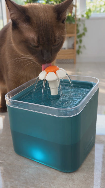 Burmese cat drinking from the teal pet water fountain
